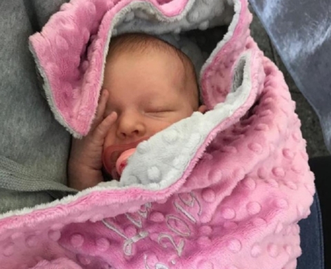 Dusty Rose & Platinum